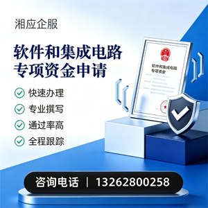 淄博软件和集成电路专项资金申报服务