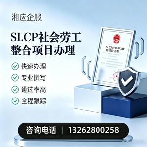 淄博SLCP社会劳工整合项目申报服务