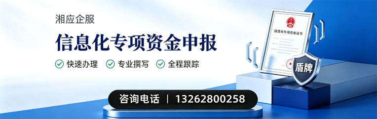 淄博信息化专项资金申报服务