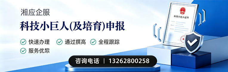 淄博科技小巨人及培育企业申报服务