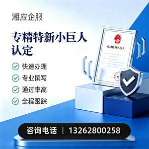 淄博专精特新小巨人申报服务