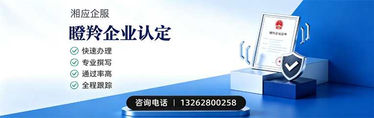 淄博瞪羚企业认定申报服务