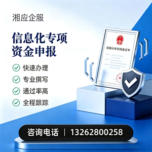 淄博信息化专项资金申报服务