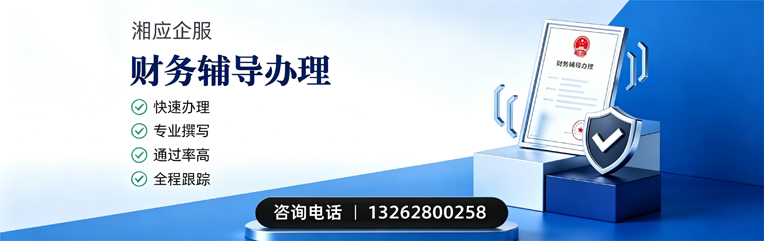 淄博财务辅导申请服务