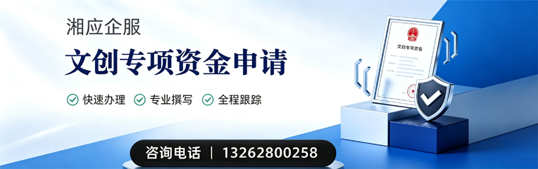 淄博文创专项资金申报服务