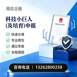 淄博科技小巨人及培育企业申报服务
