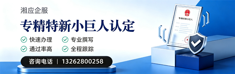 淄博专精特新小巨人申报服务